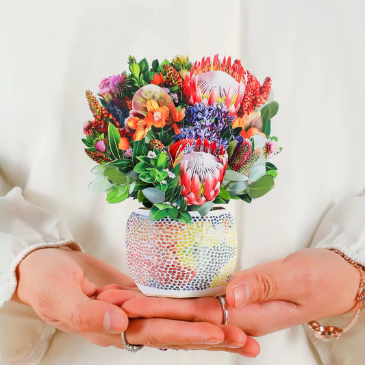 Mini Kakadu Embrace PetalPal