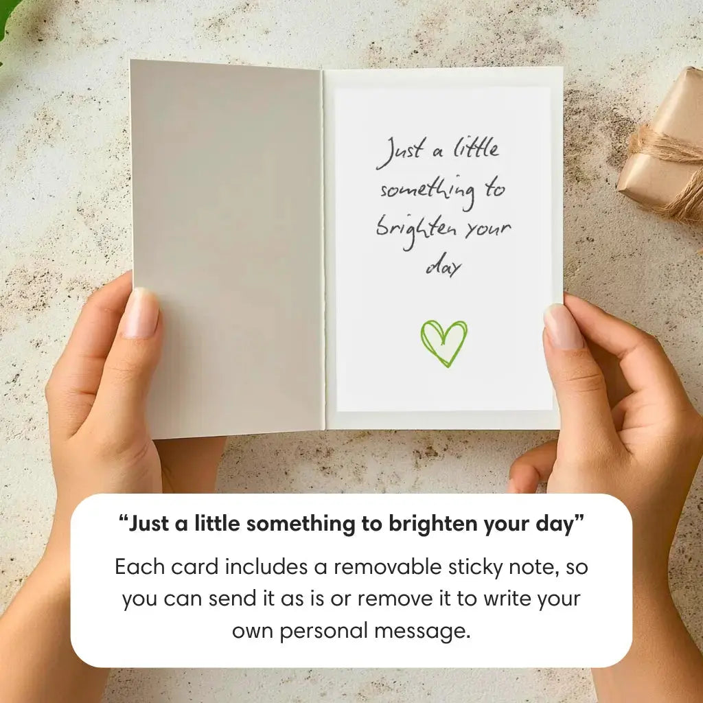 Yarra Dreaming PetalPal