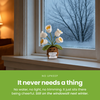 It-never-needs-a-thing-[pl:d703c0d8d395]