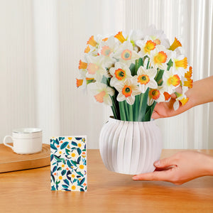 Daffodil-Bloom-PetalPal