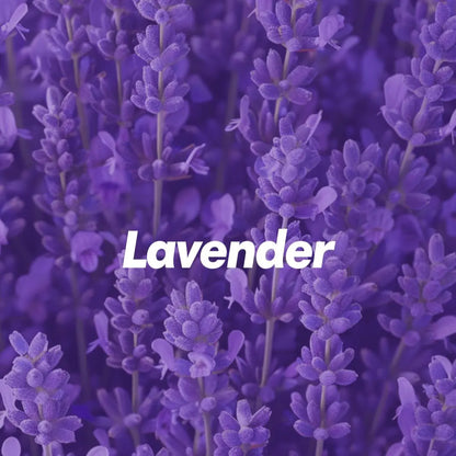 Lavender Aroma Diffuser PetalPal